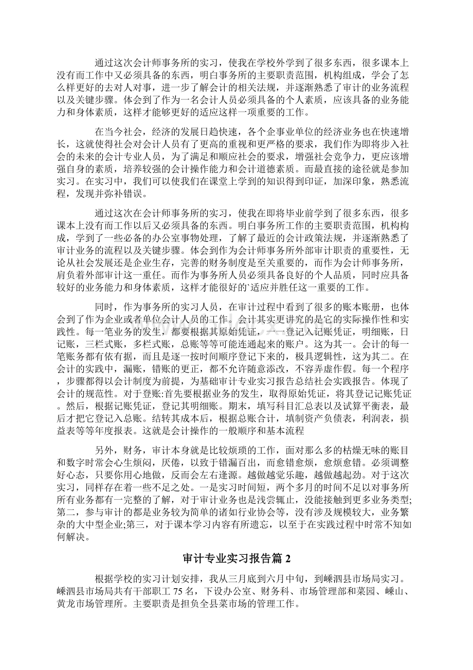 审计专业实习报告汇编6篇.docx_第3页