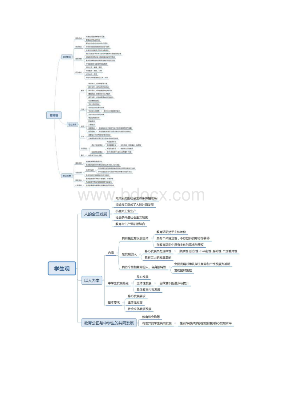 幼儿园教师资格考试思维导图.docx_第2页