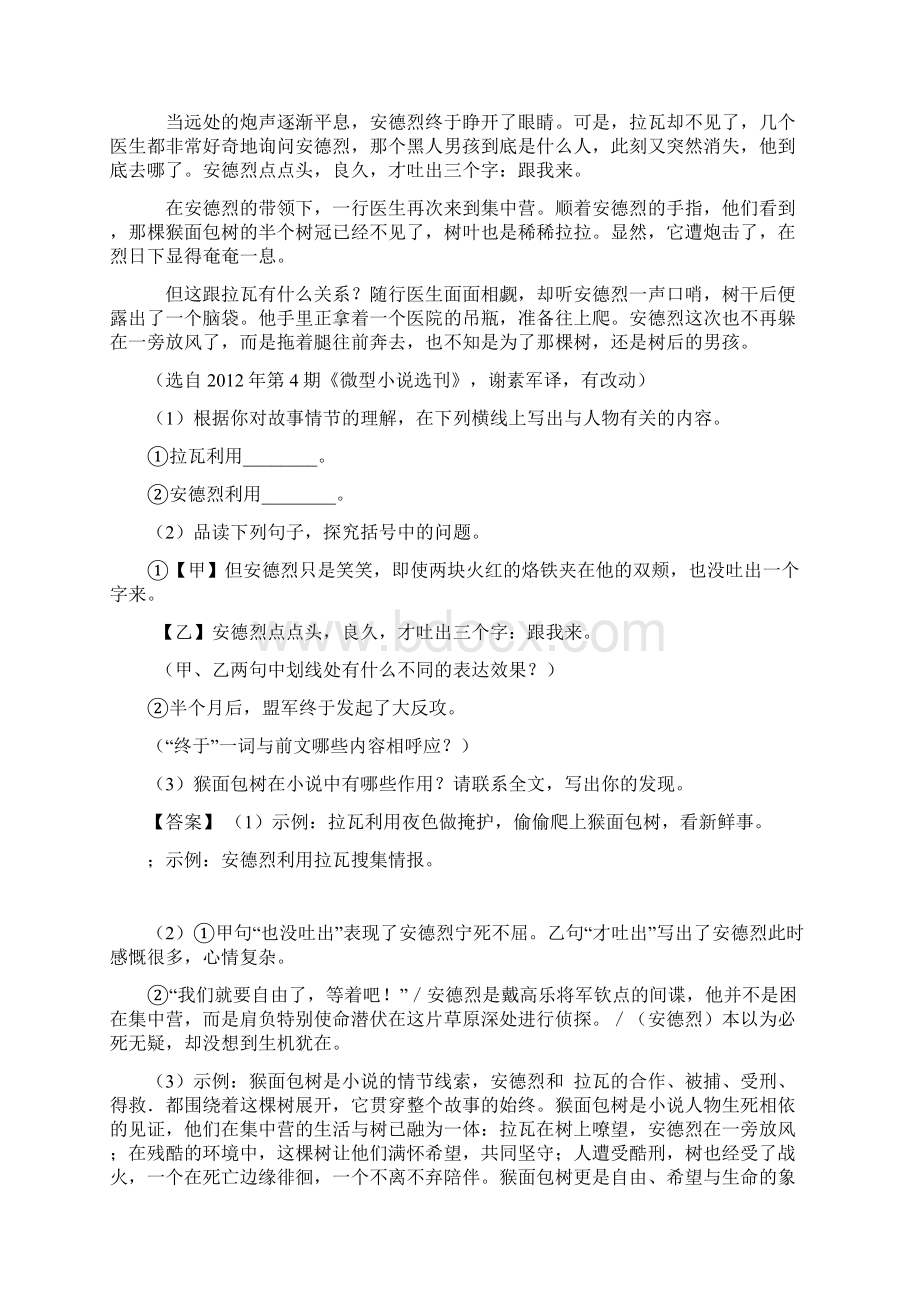 新部编中考语文文学类文本阅读专题训练解题方法和技巧及习题训练含答案.docx_第2页