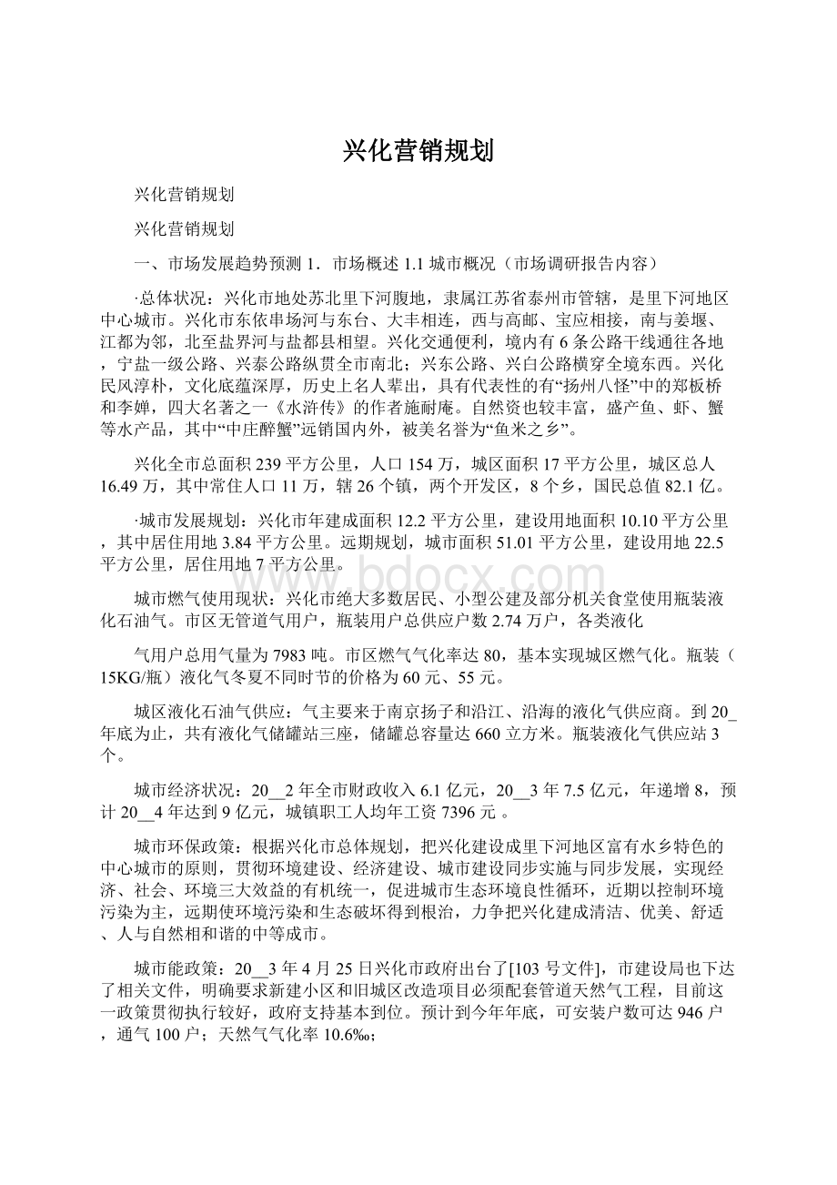 兴化营销规划文档格式.docx