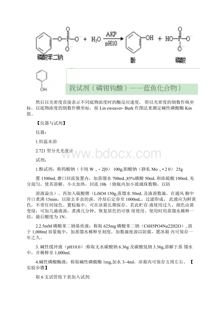 最新酶促反应动力学实验资料文档格式.docx_第3页