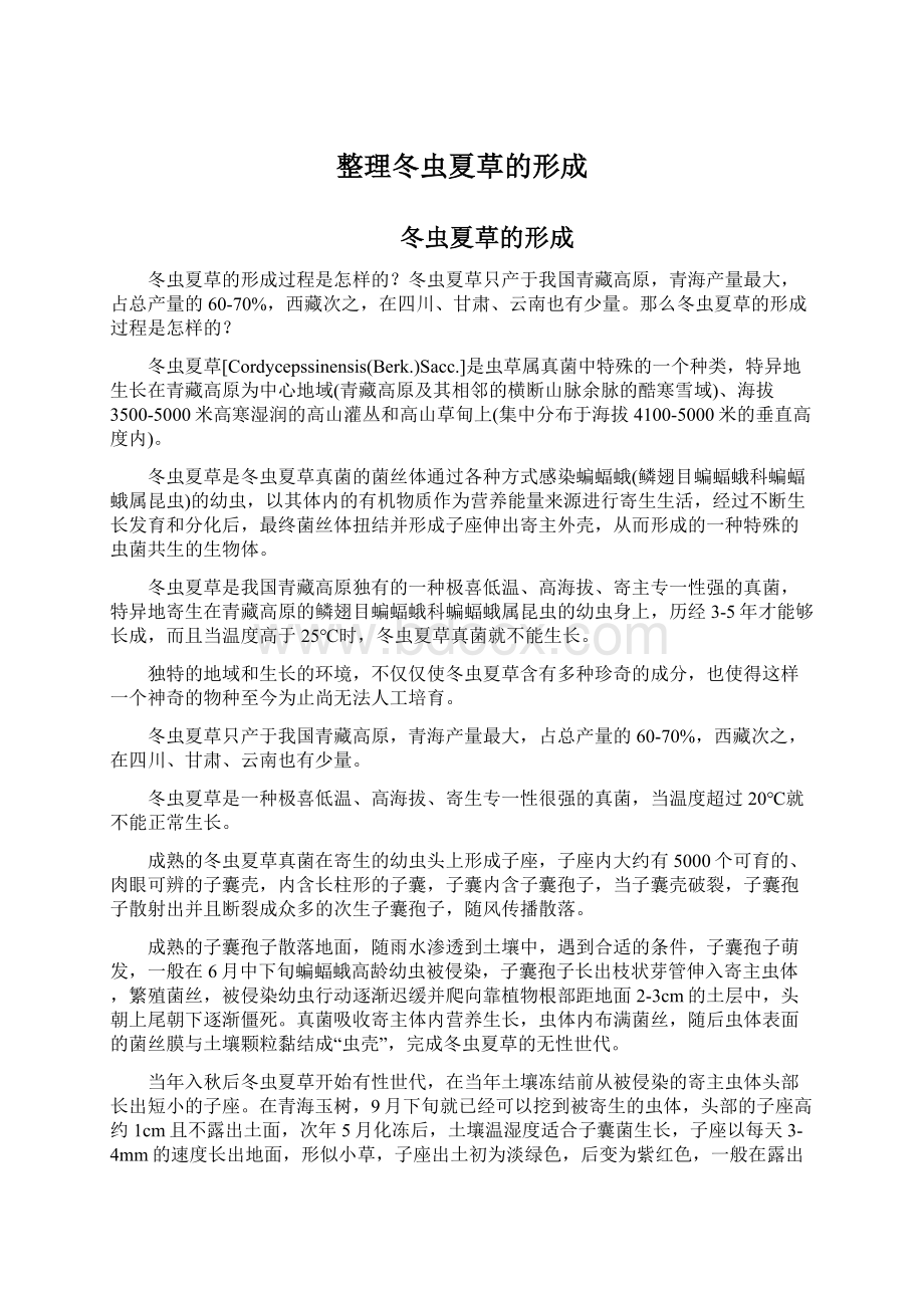 整理冬虫夏草的形成Word格式文档下载.docx