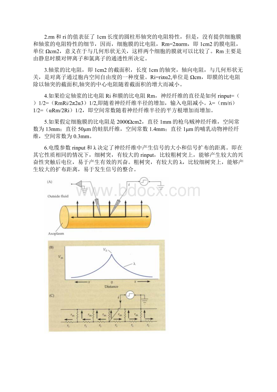 被动电学特征.docx_第2页