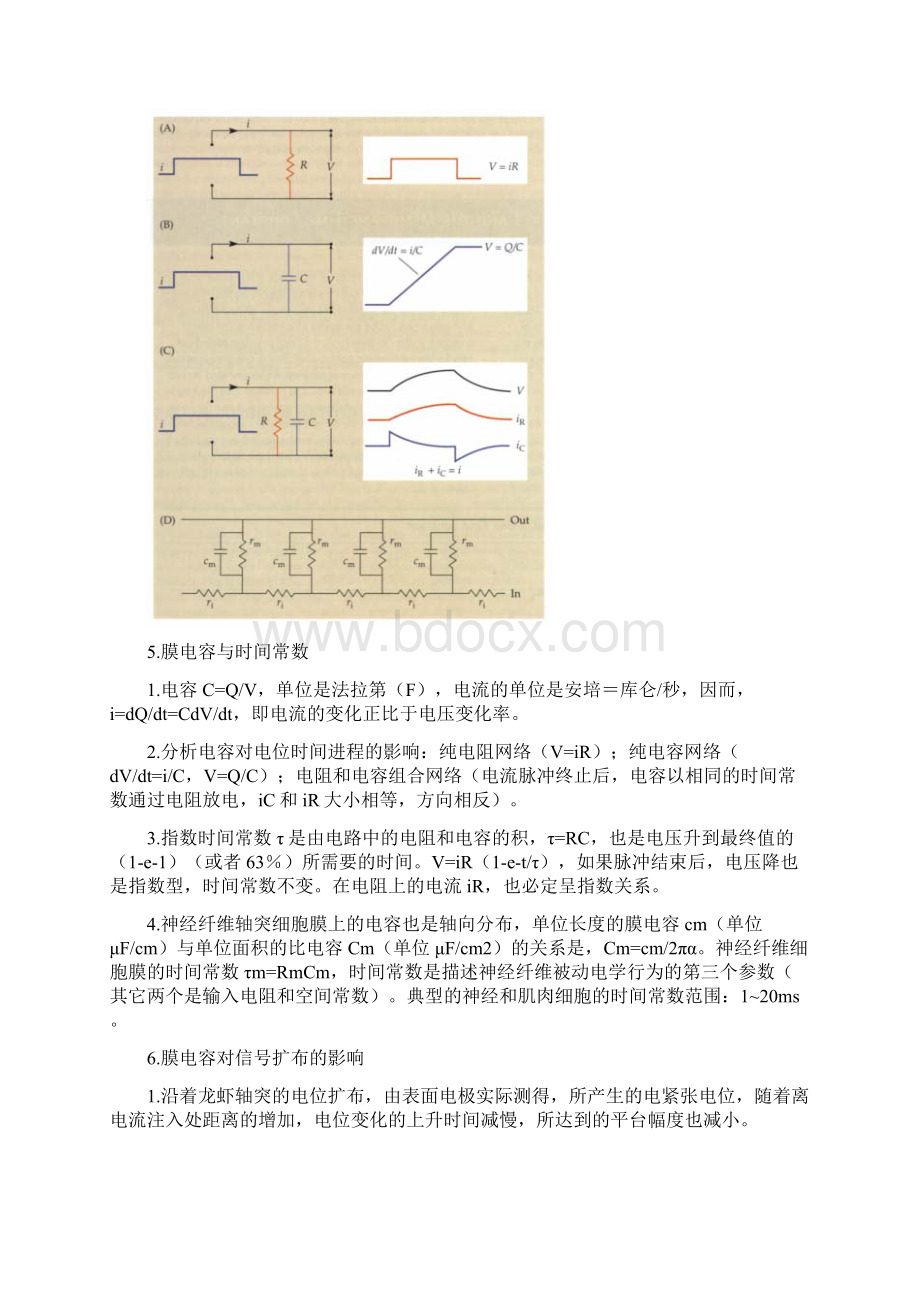 被动电学特征.docx_第3页