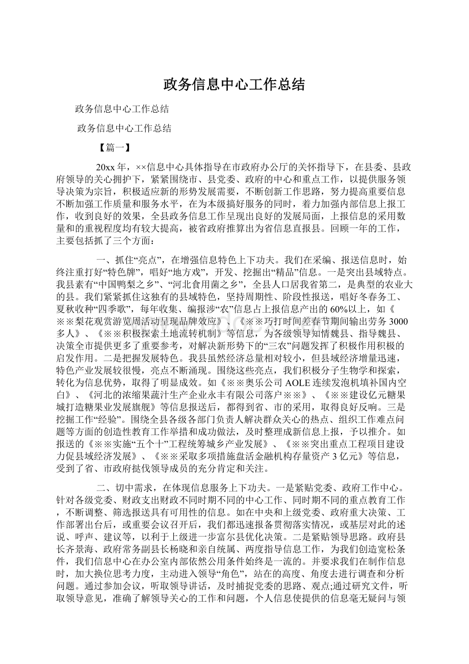 政务信息中心工作总结.docx_第1页