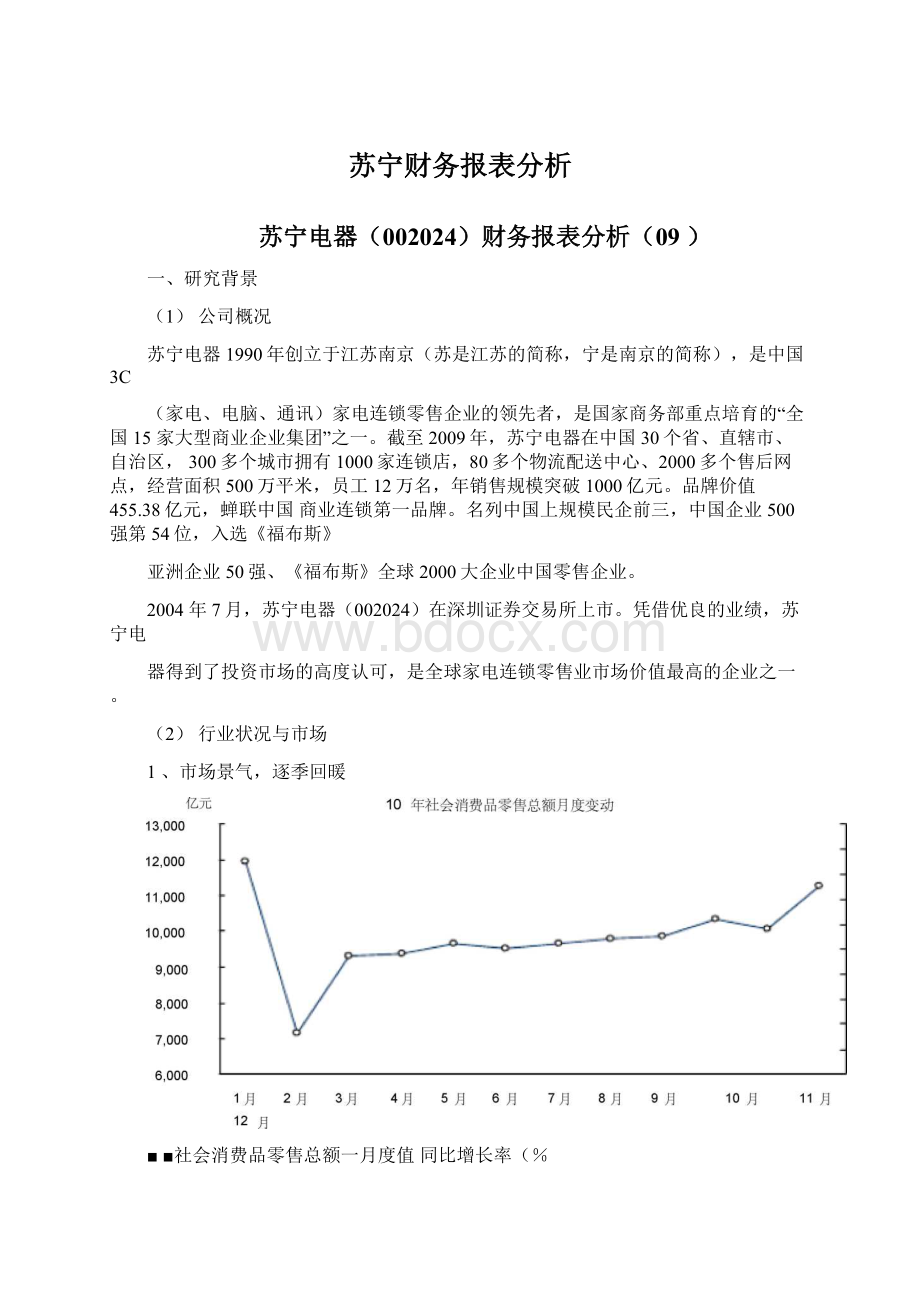 苏宁财务报表分析Word文档格式.docx_第1页