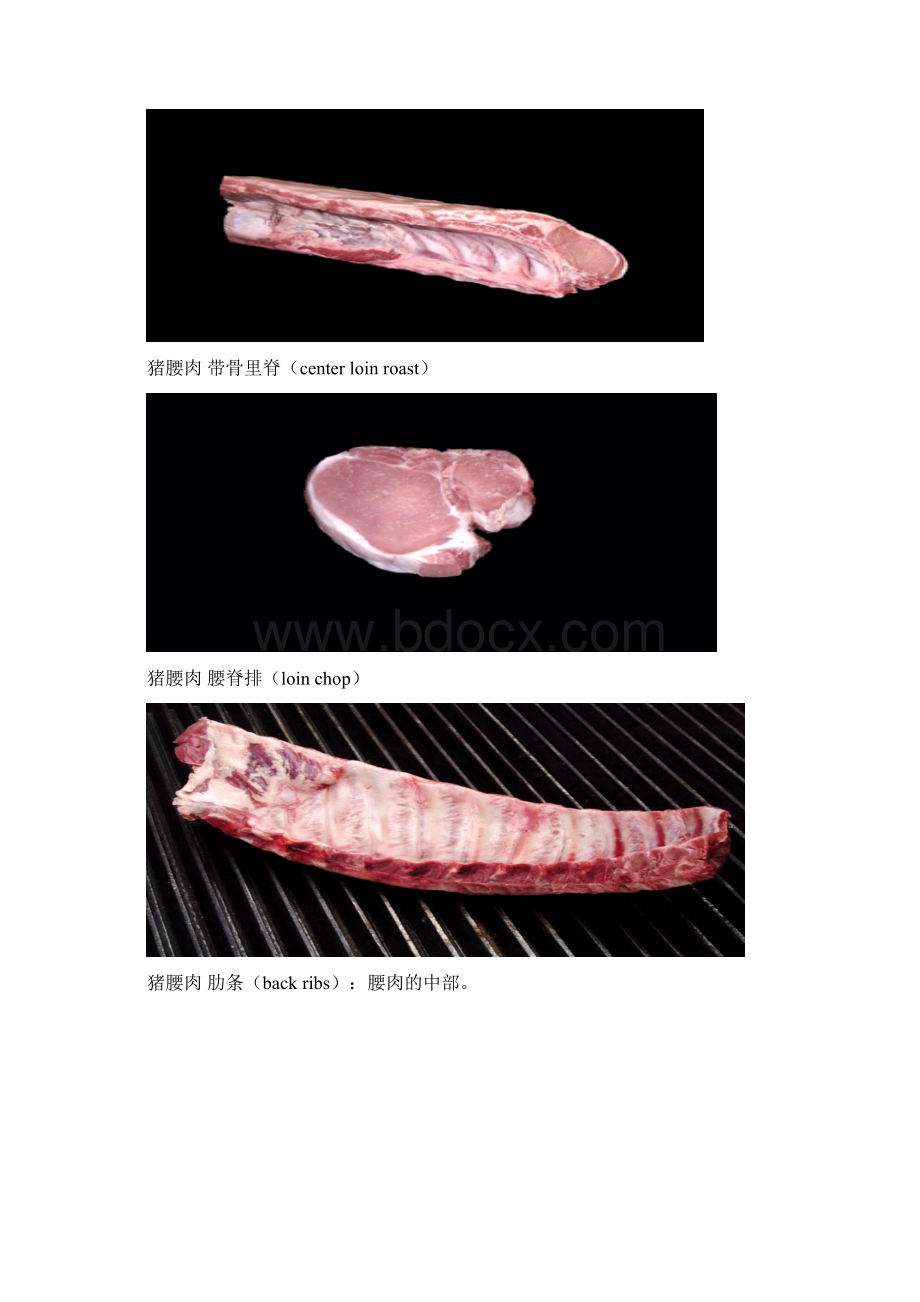 猪肉的分割和解说Word文档下载推荐.docx_第3页