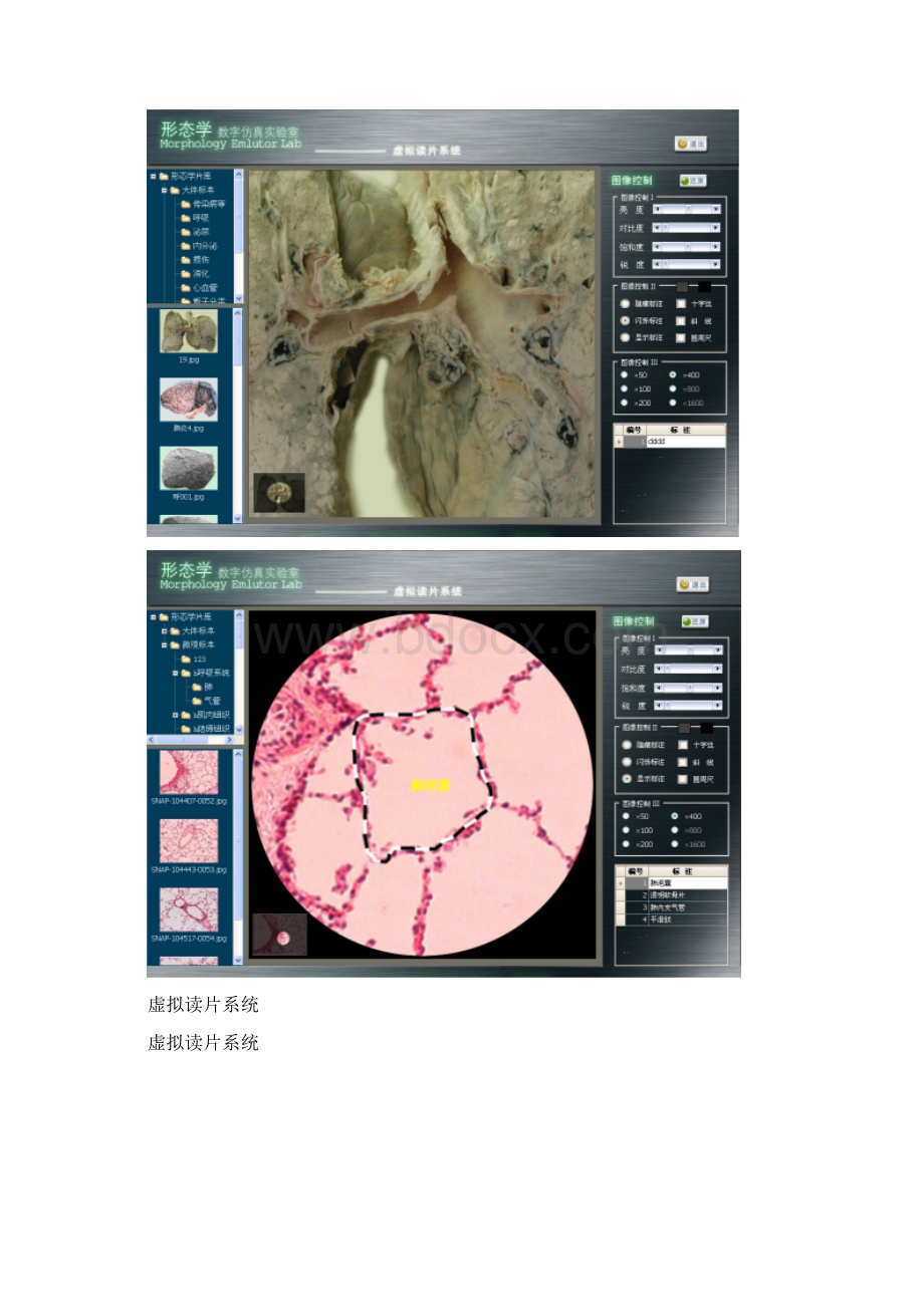 技术支持及售后服务Word文档格式.docx_第2页