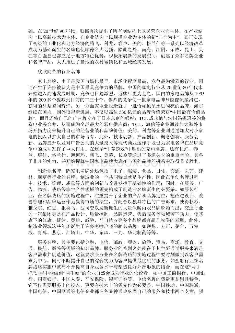 中国名牌发展战略报告.docx_第3页