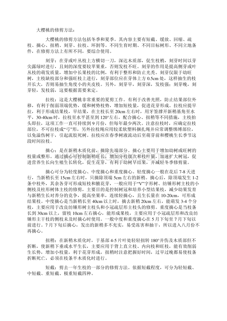 最新大樱桃整形修剪.docx_第3页