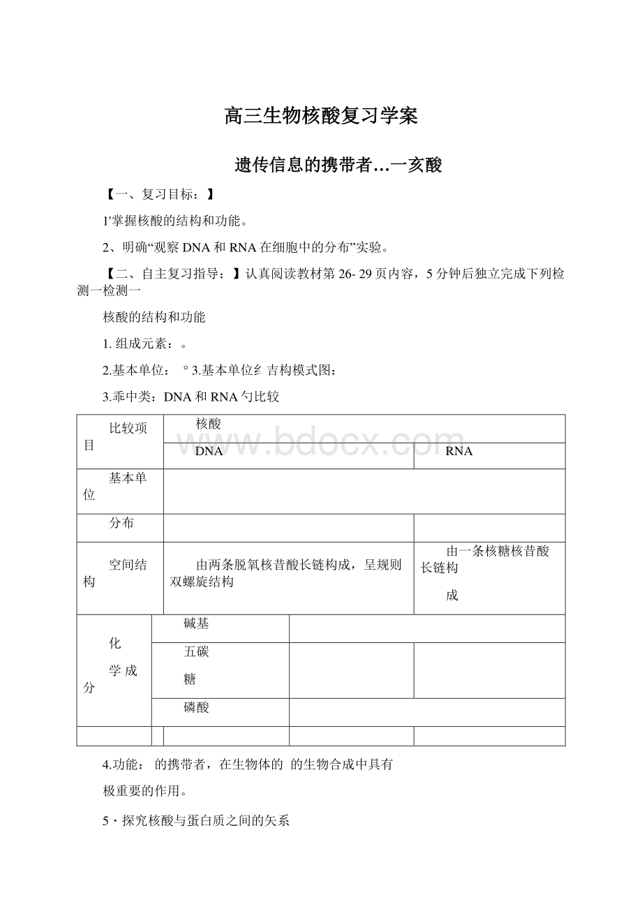 高三生物核酸复习学案Word格式文档下载.docx