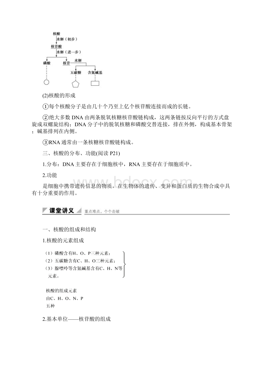 高中生物第二章细胞的化学组成第二节细胞中的生物大分子第3课时核酸的结构和功能练习苏教版必修.docx_第2页