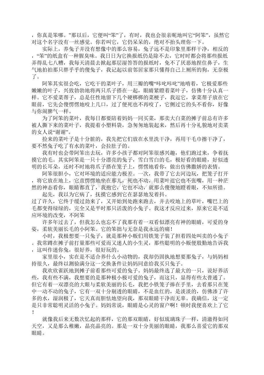 阿笨高三作文Word文档格式.docx_第3页