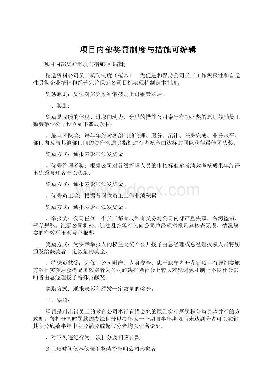 项目内部奖罚制度与措施可编辑.docx_第1页