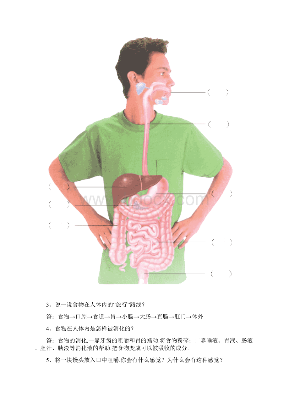 青岛版科学五年级下册单元自测题.docx_第3页