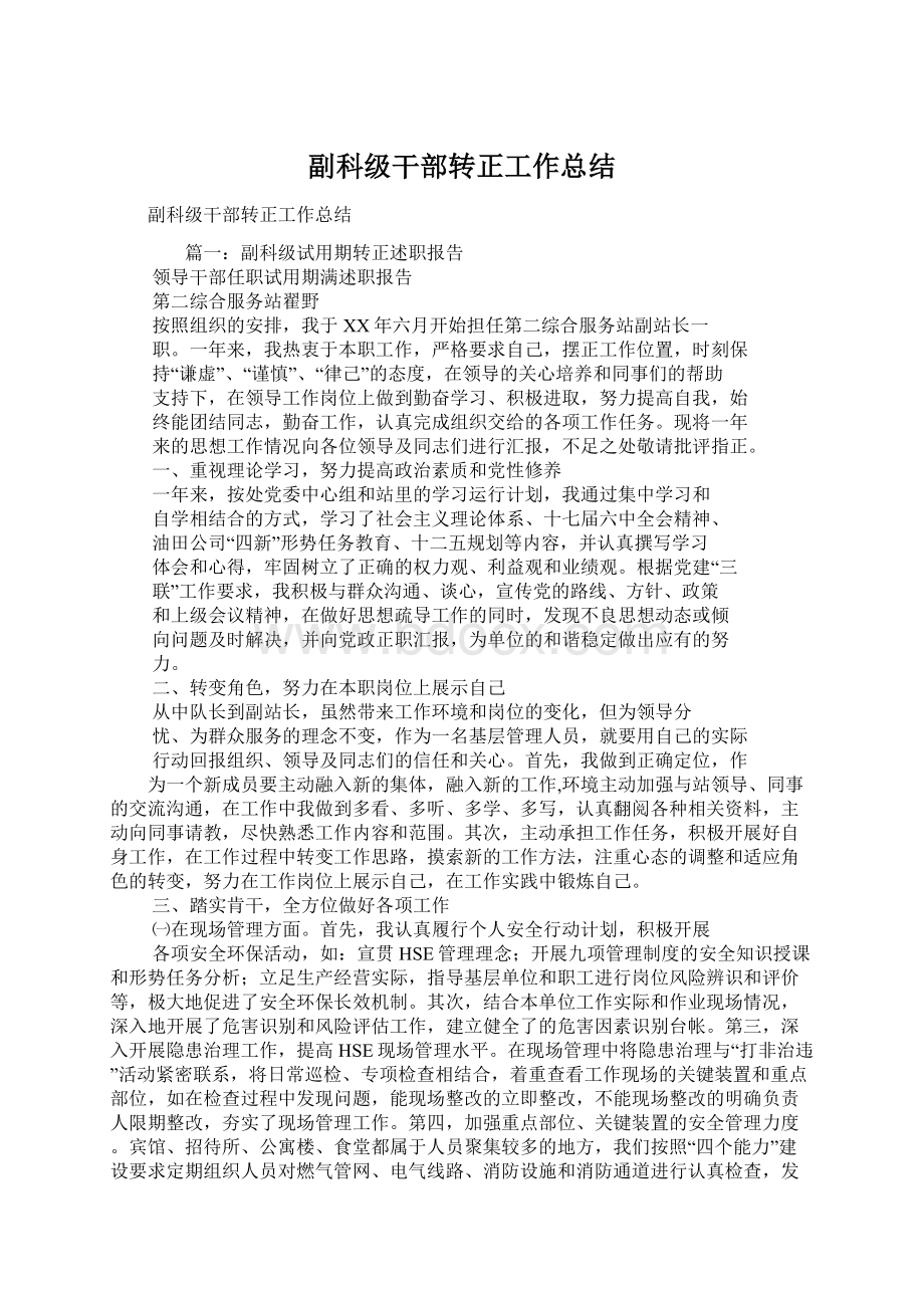 副科级干部转正工作总结.docx