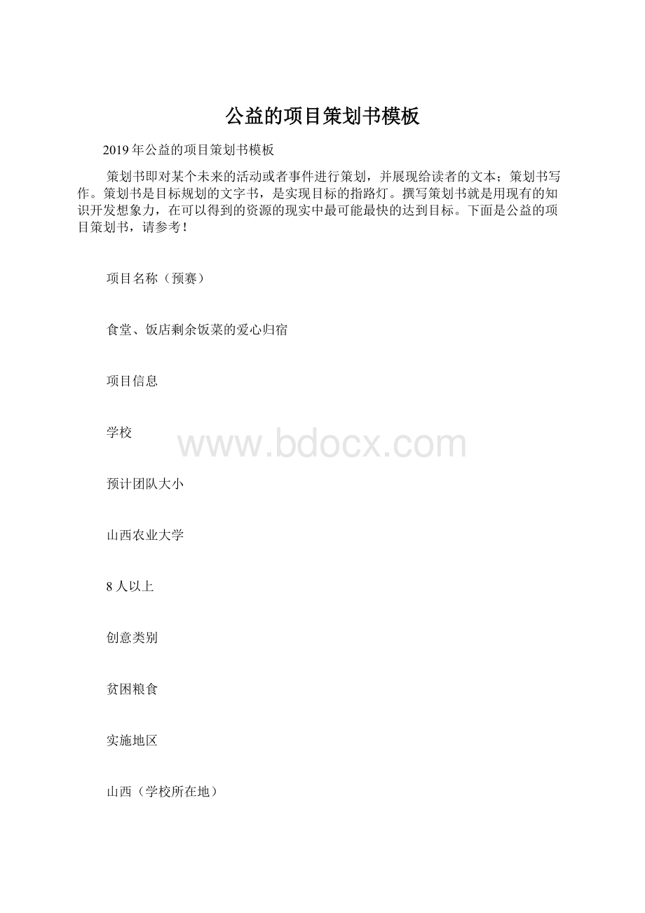 公益的项目策划书模板Word格式.docx