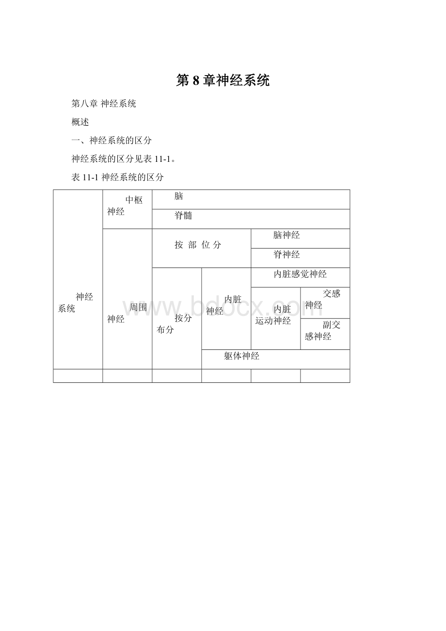 第8章神经系统Word文件下载.docx