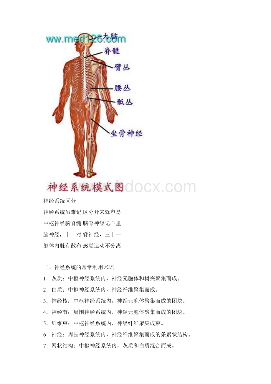 第8章神经系统.docx_第2页