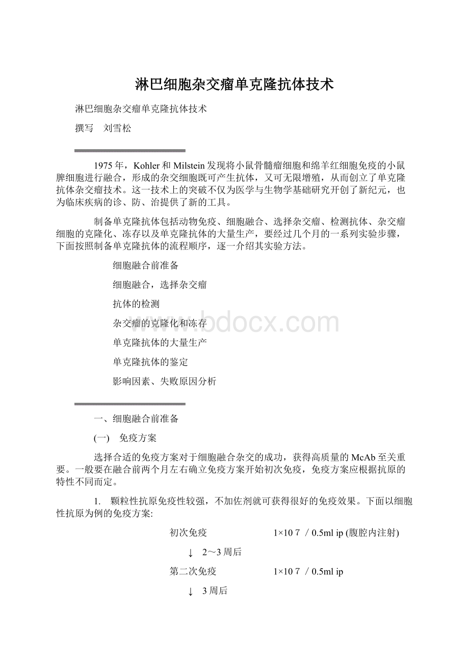 淋巴细胞杂交瘤单克隆抗体技术Word格式.docx_第1页