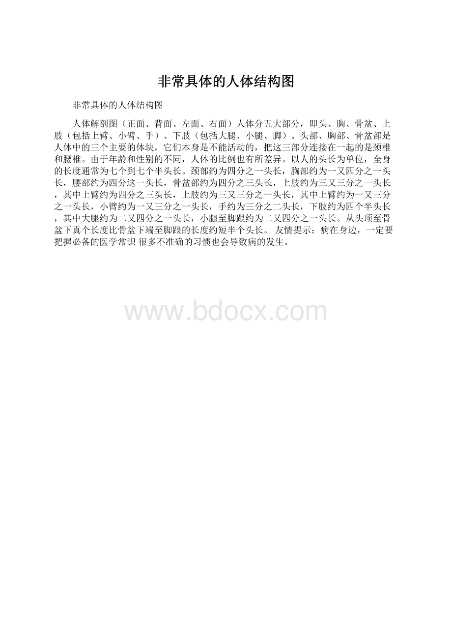 非常具体的人体结构图.docx_第1页