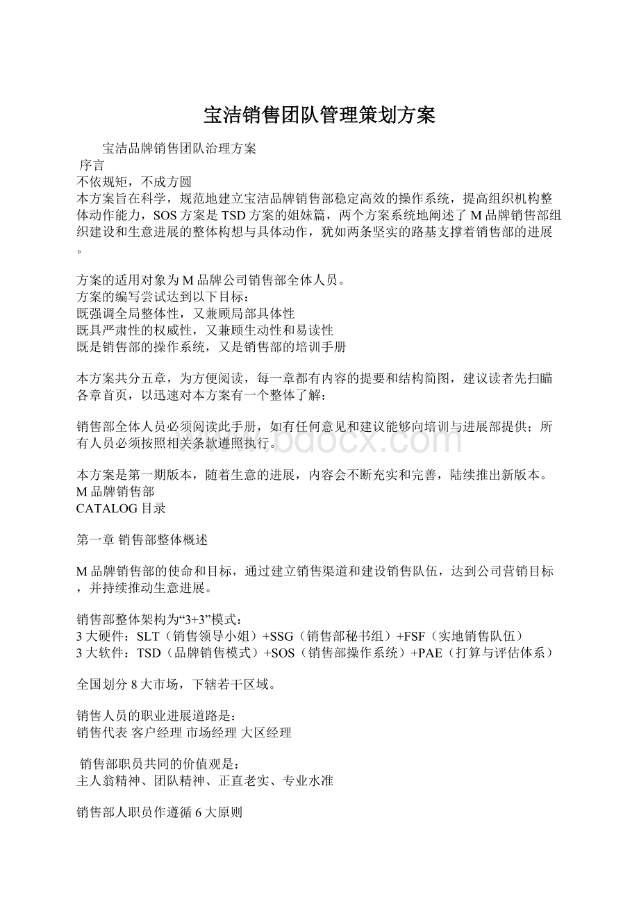 宝洁销售团队管理策划方案.docx