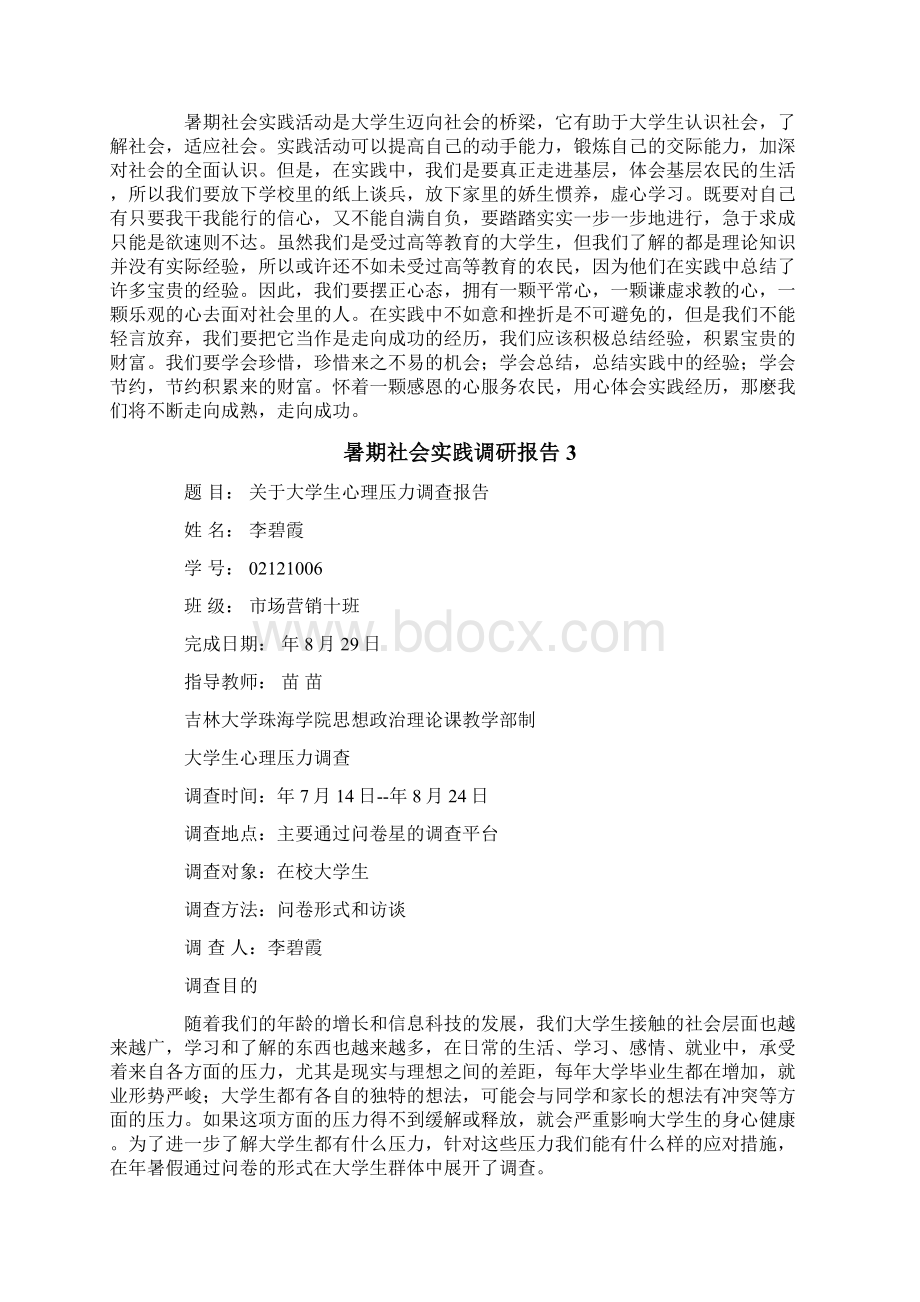 暑期社会实践调研报告.docx_第3页