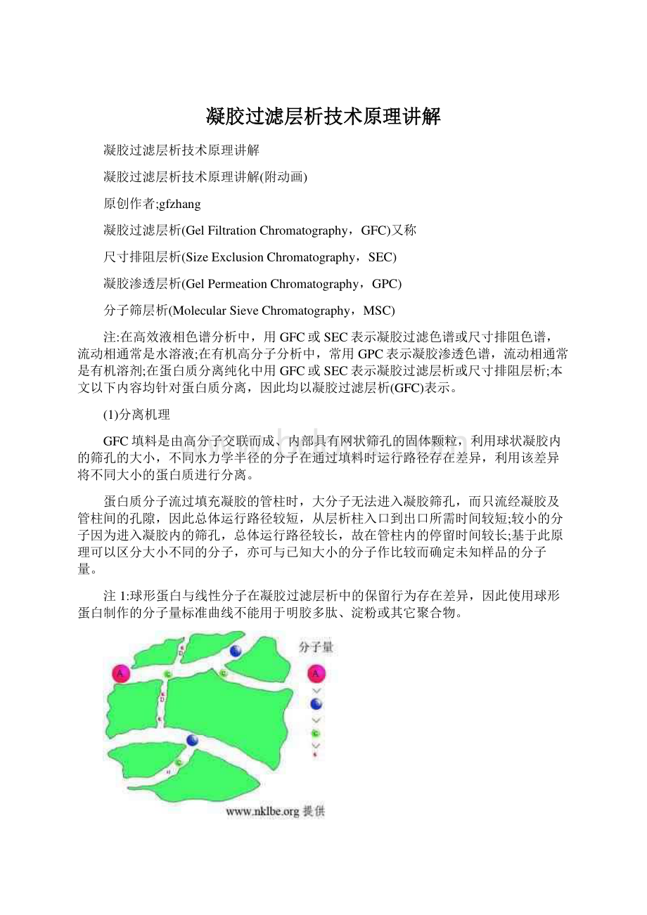 凝胶过滤层析技术原理讲解.docx_第1页