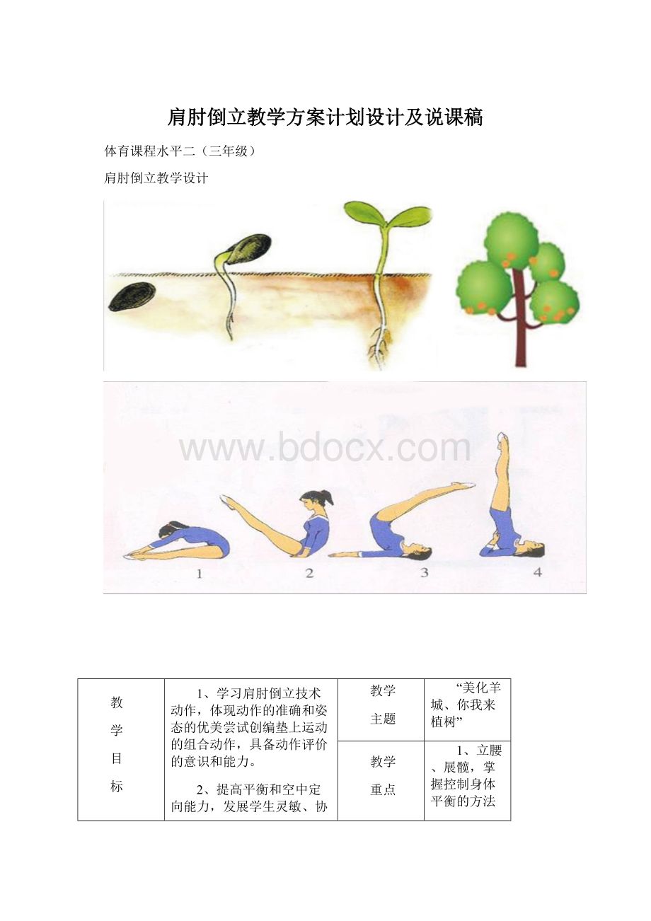 肩肘倒立教学方案计划设计及说课稿.docx_第1页