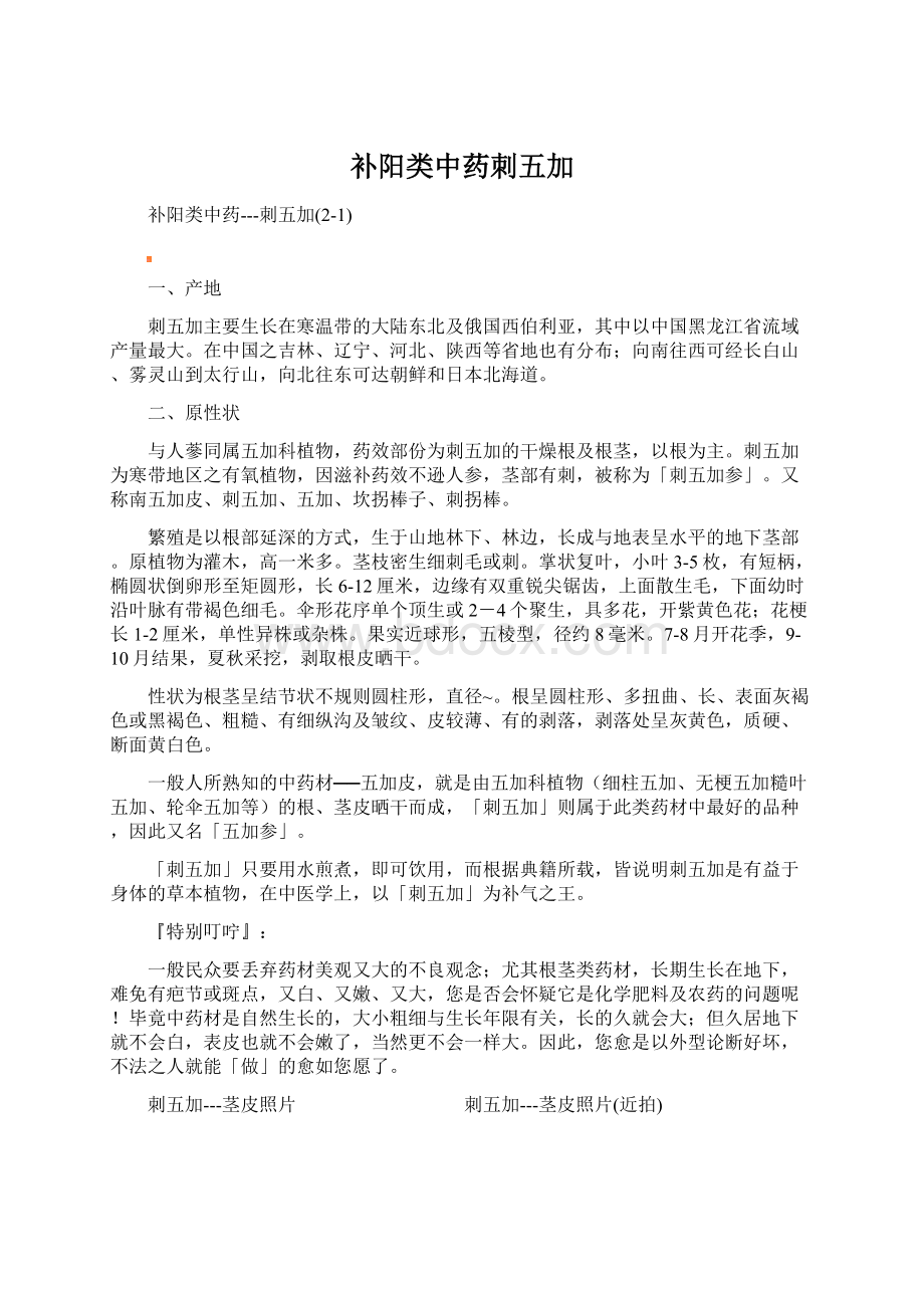 补阳类中药刺五加Word文档下载推荐.docx