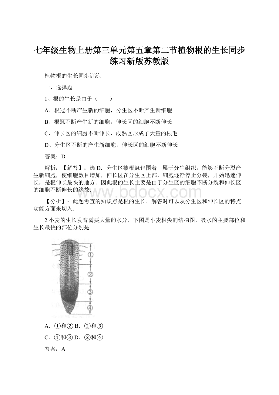 七年级生物上册第三单元第五章第二节植物根的生长同步练习新版苏教版Word格式文档下载.docx