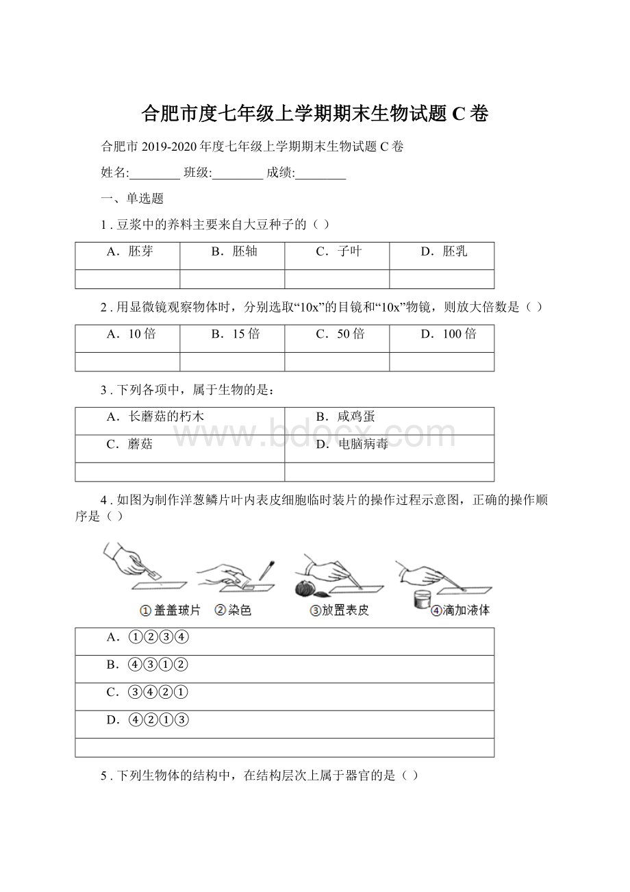 合肥市度七年级上学期期末生物试题C卷文档格式.docx