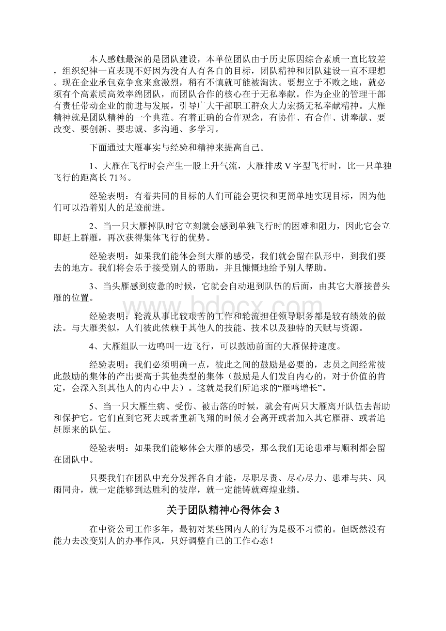 关于团队精神心得体会Word格式文档下载.docx_第2页