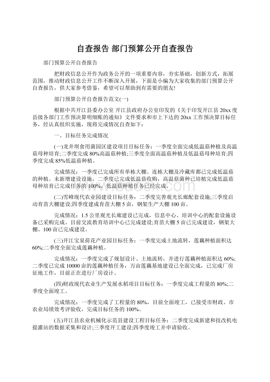 自查报告 部门预算公开自查报告.docx_第1页