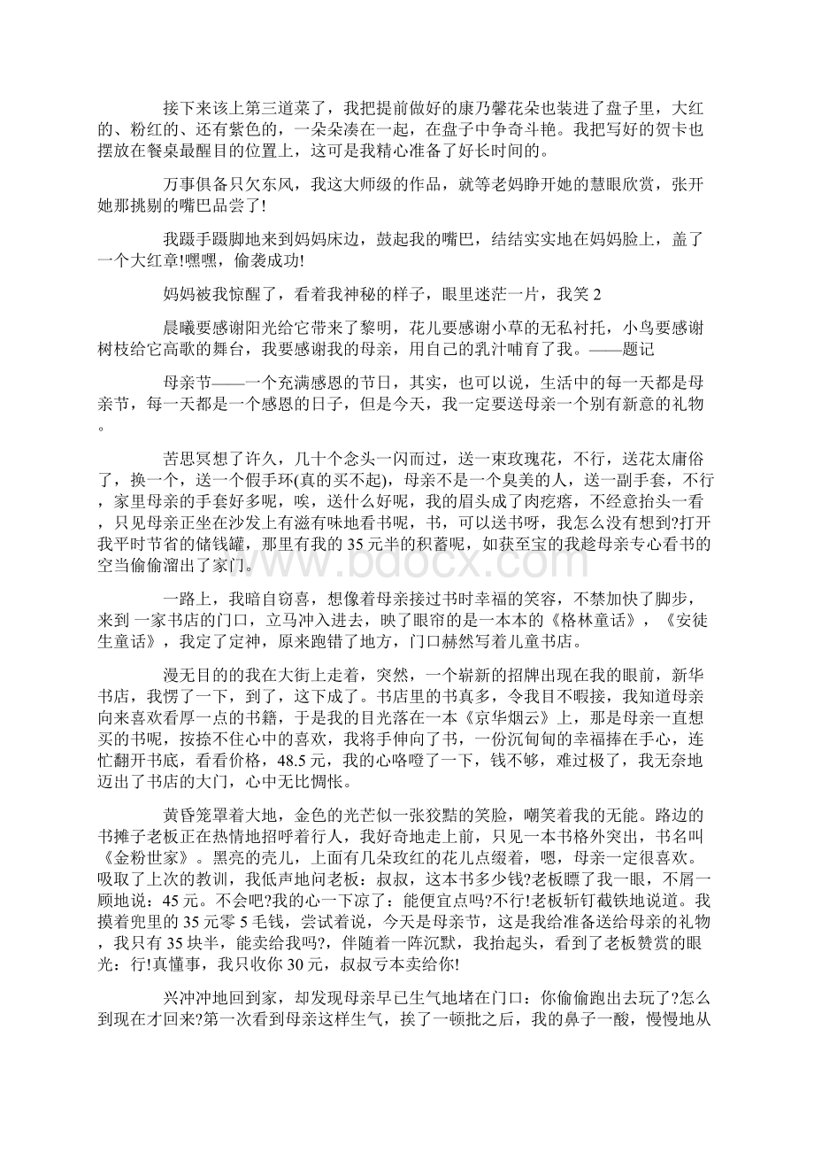 有关母亲节的作文900字汇总七篇.docx_第2页