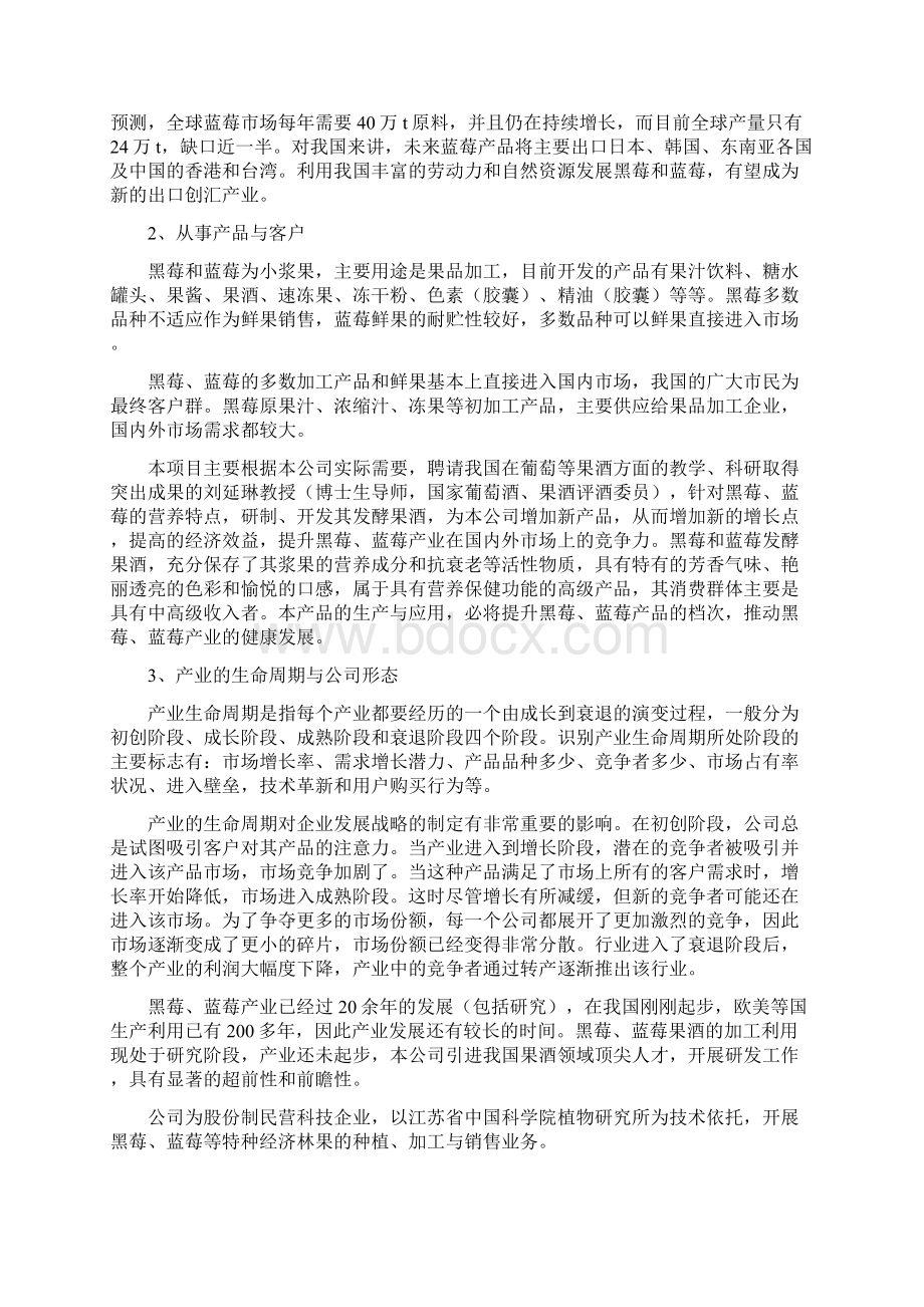 实用文档果酒创业计划书Word文档下载推荐.docx_第2页