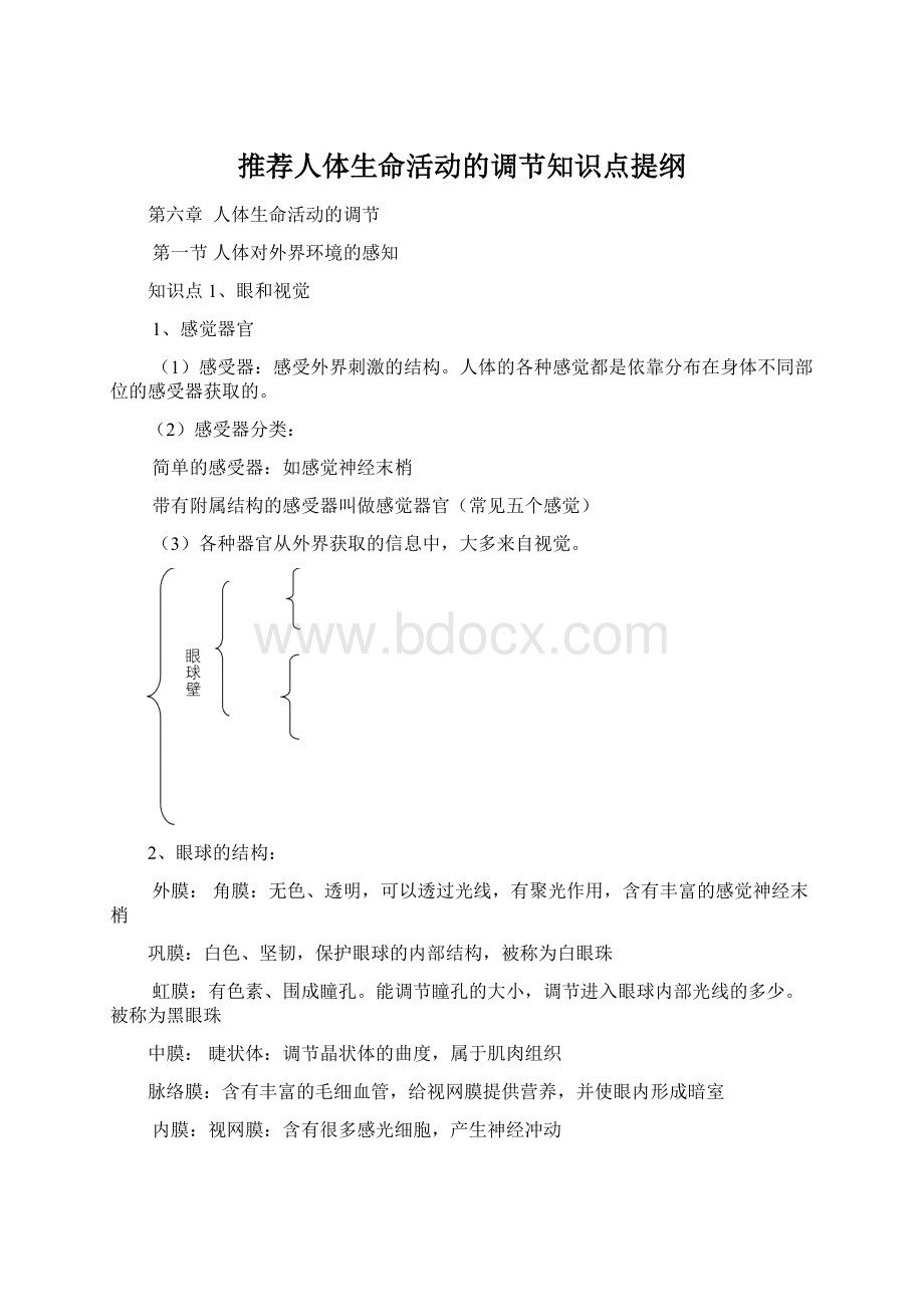 推荐人体生命活动的调节知识点提纲.docx_第1页