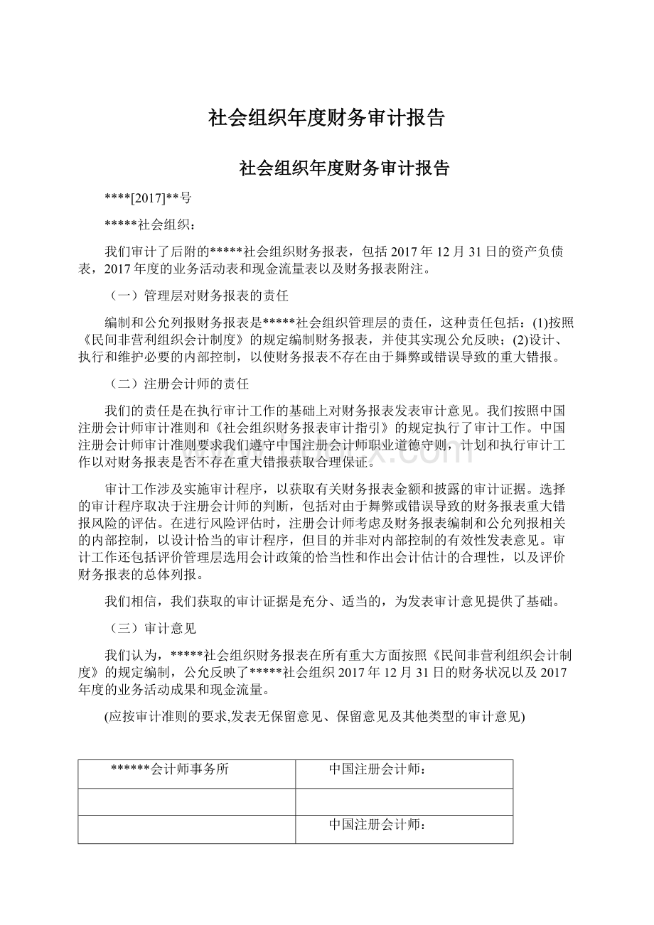 社会组织年度财务审计报告Word格式文档下载.docx