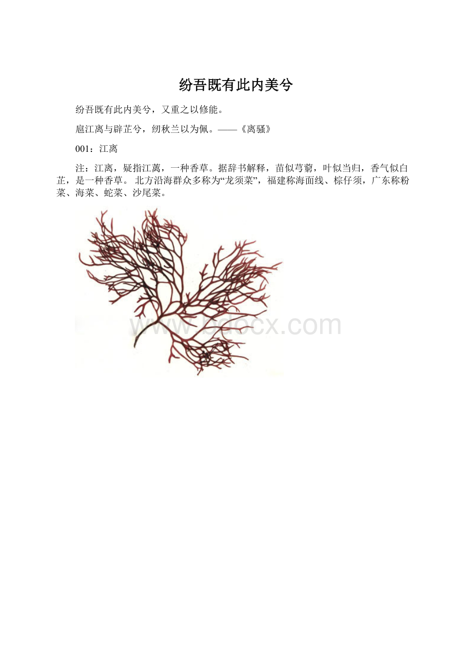 纷吾既有此内美兮Word格式文档下载.docx