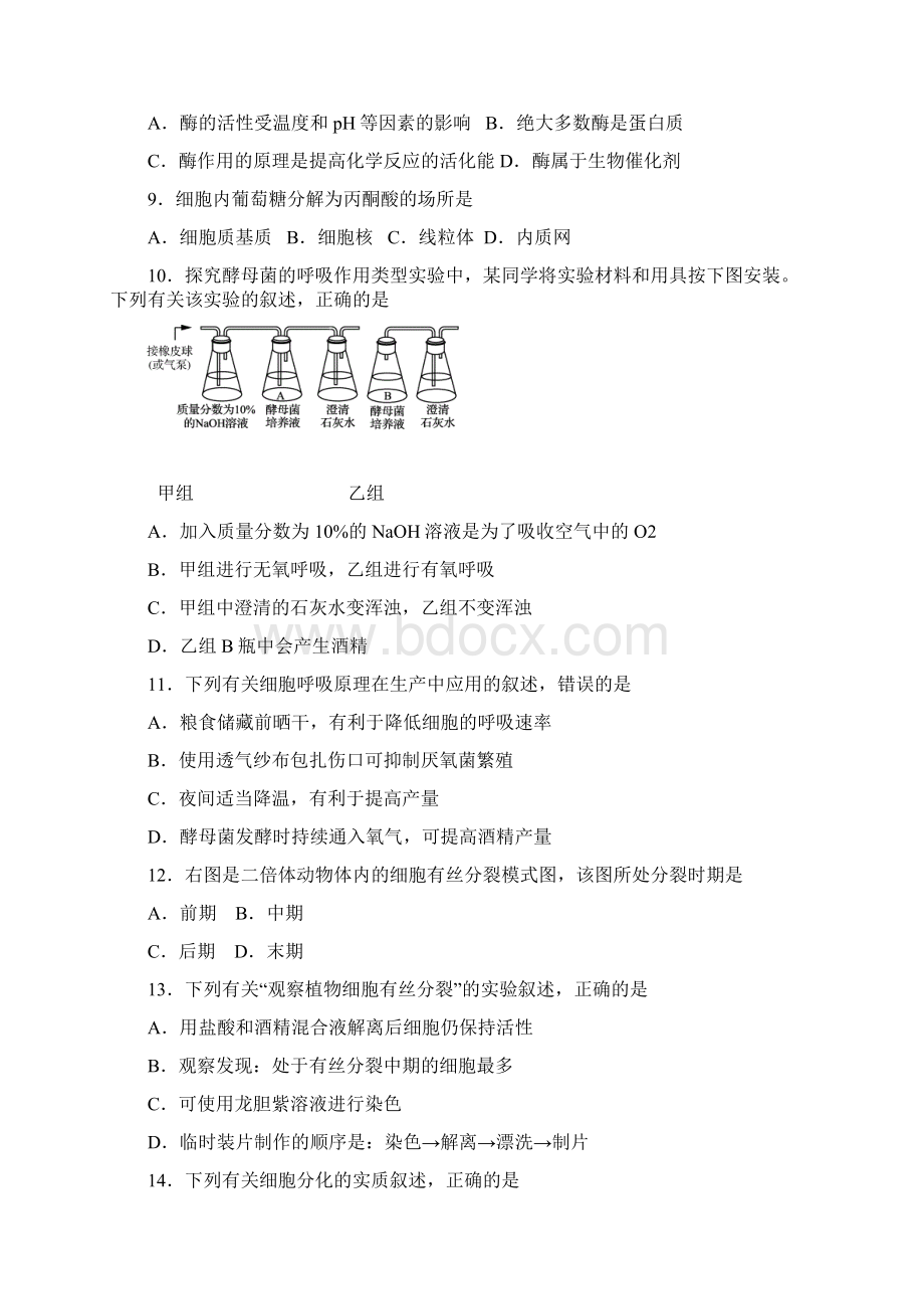 学年江苏省盐城市高一下学期期末考试生物word版有答案精校版Word文档下载推荐.docx_第2页