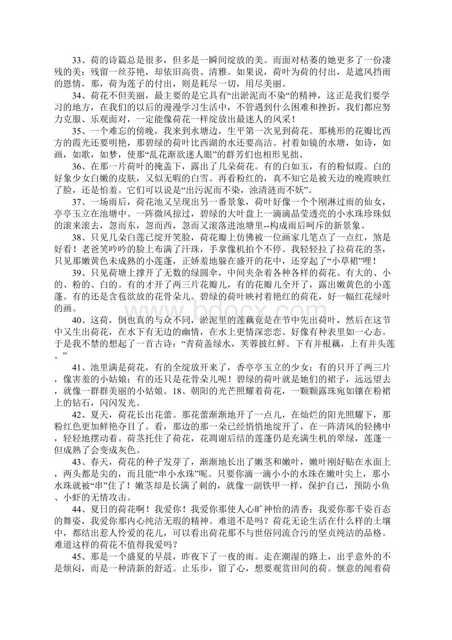 荷花好词好句Word格式文档下载.docx_第3页