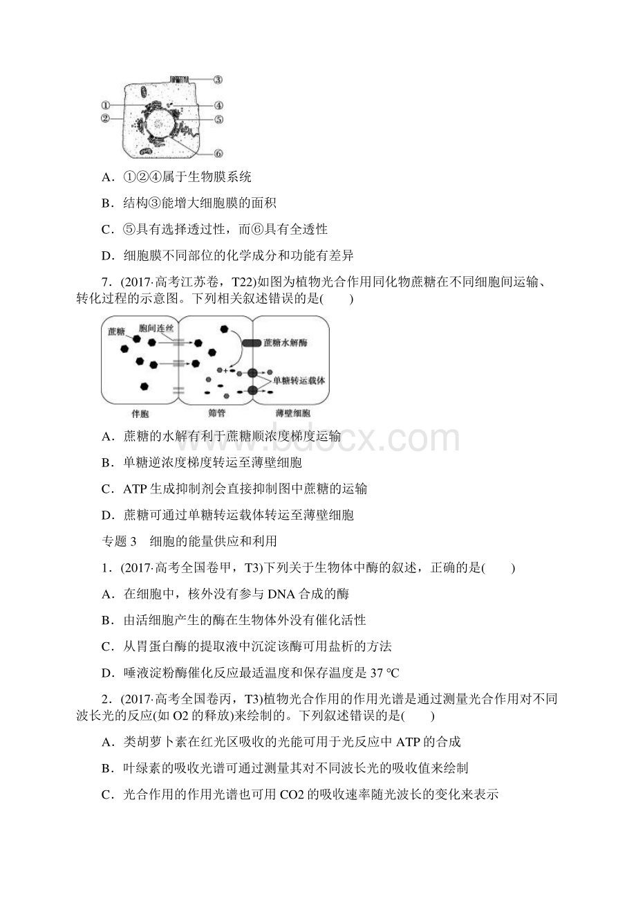 生物高考题真题分专题汇总.docx_第3页