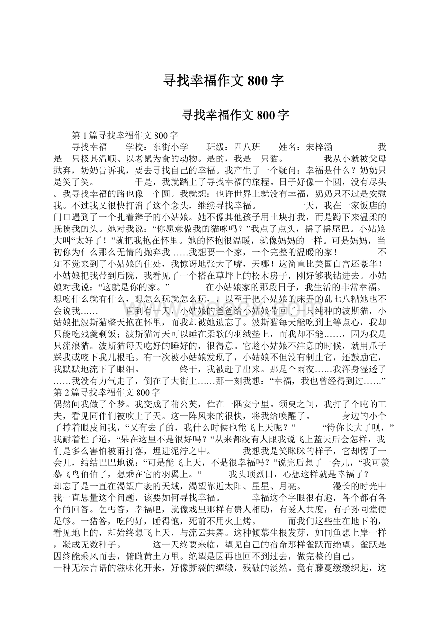 寻找幸福作文800字.docx