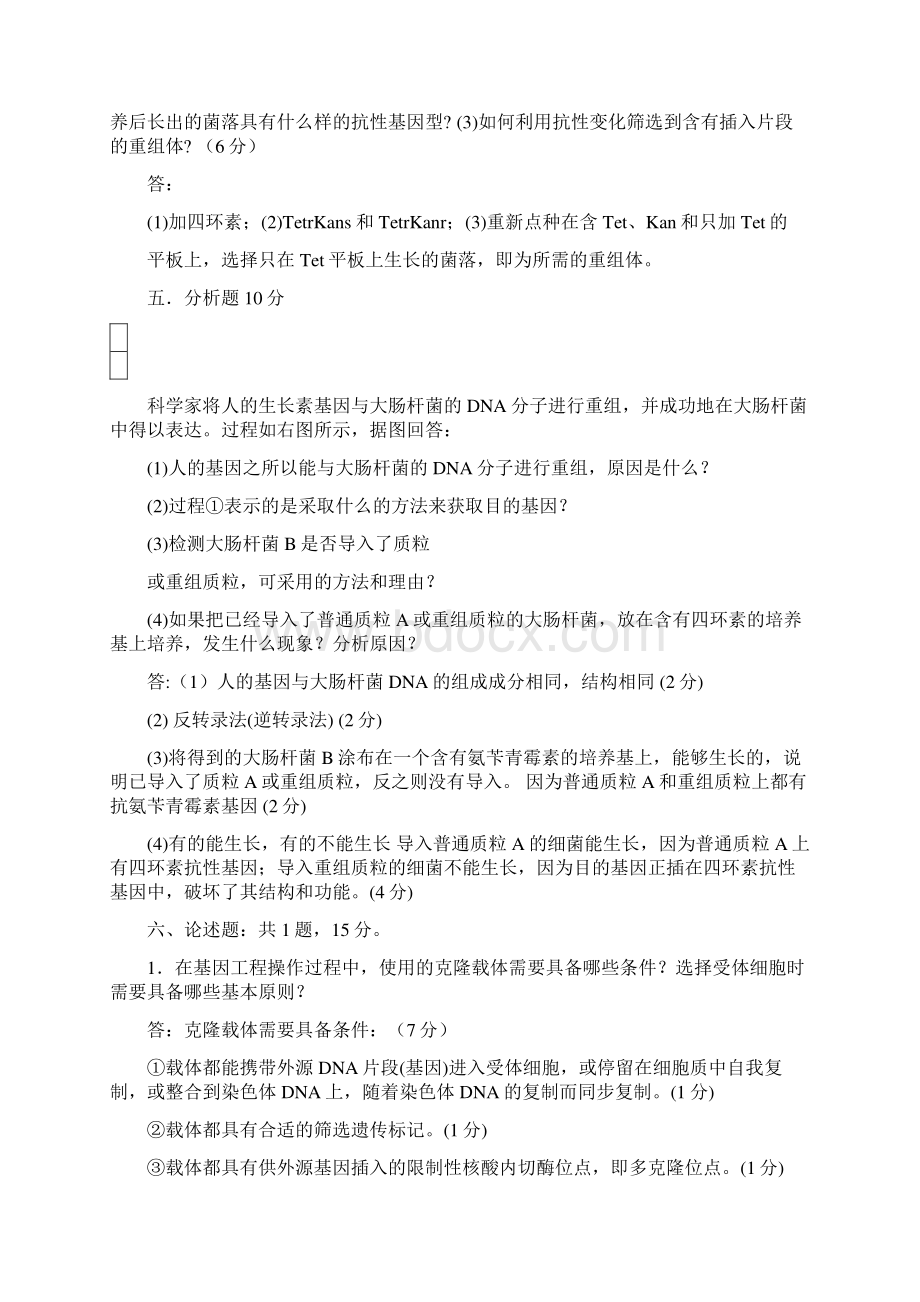 最新扬州大学基因工程期末试题复习要点整理Word格式.docx_第3页