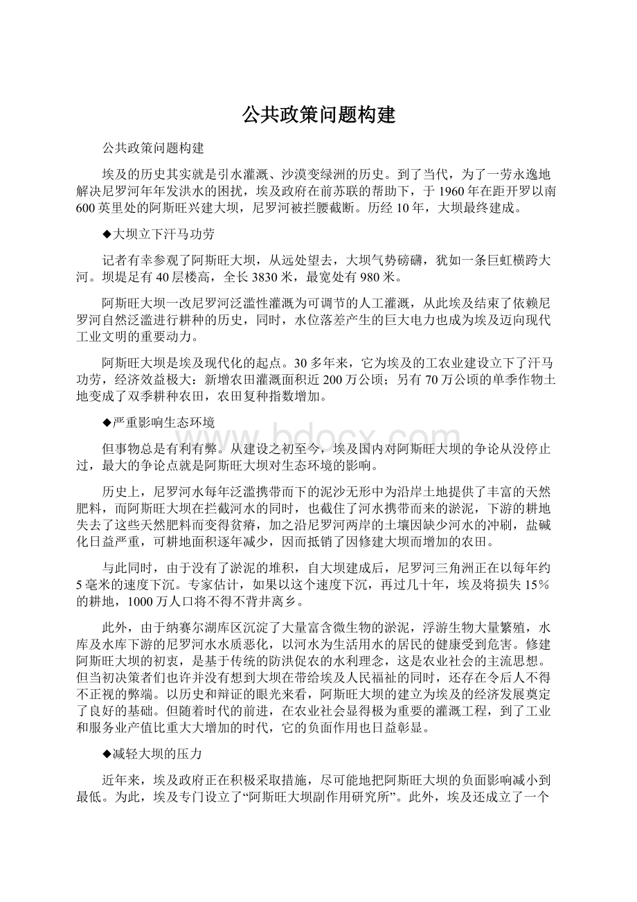 公共政策问题构建Word文件下载.docx