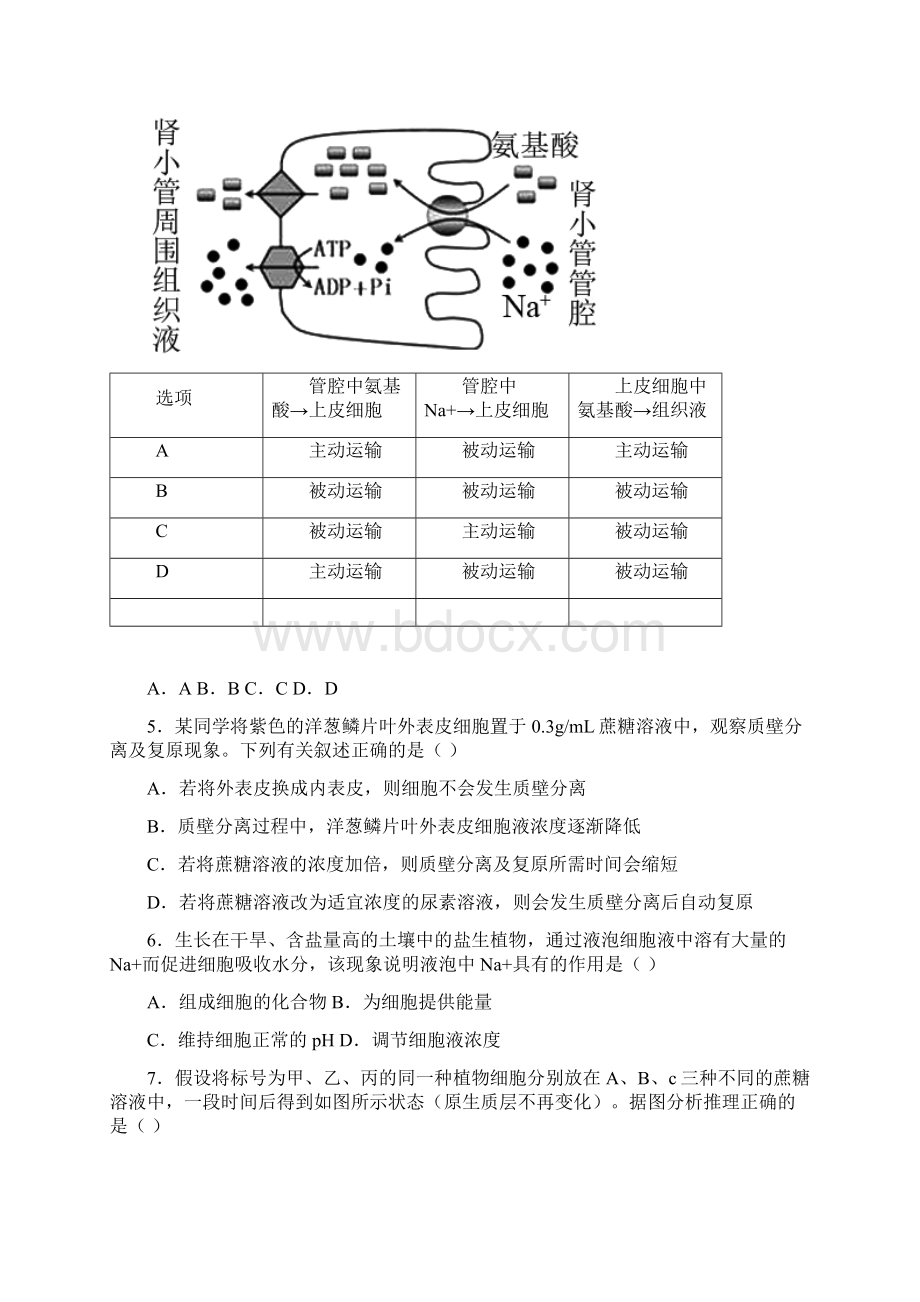 人教版 高中生物必修一测试题附答案.docx_第2页