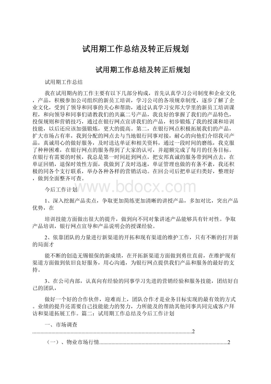 试用期工作总结及转正后规划.docx_第1页