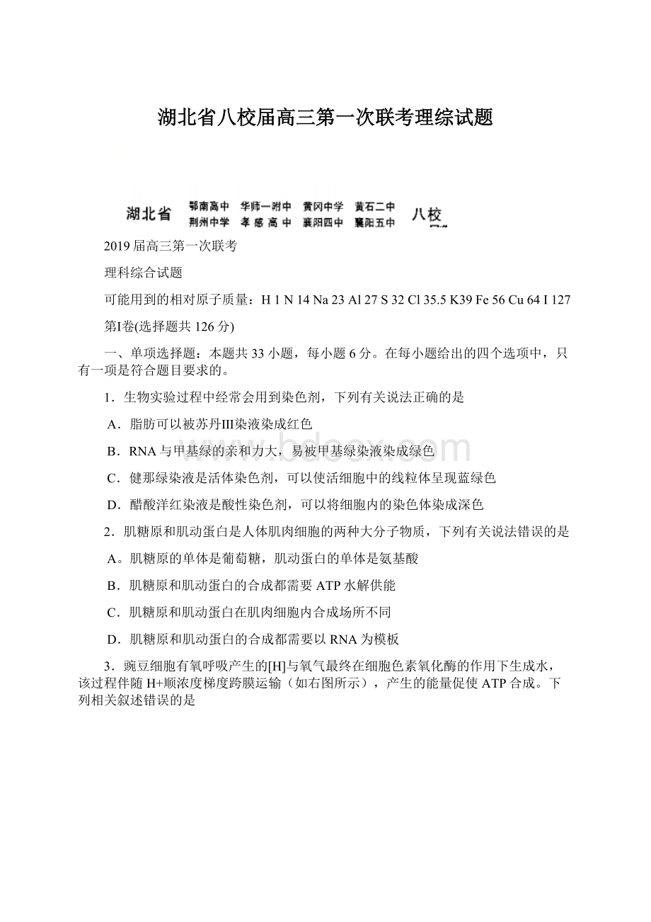 湖北省八校届高三第一次联考理综试题.docx_第1页