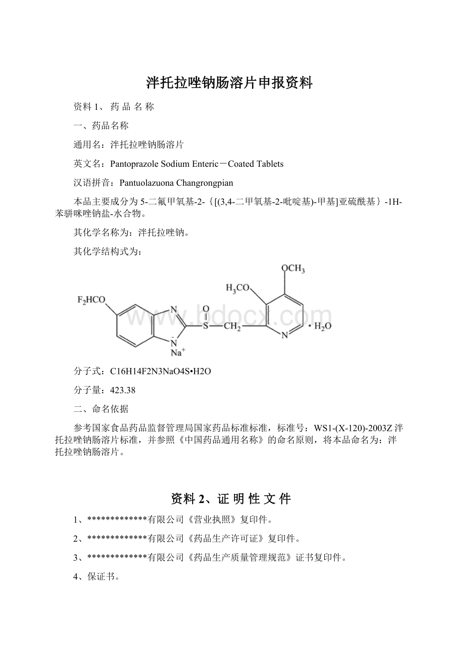 泮托拉唑钠肠溶片申报资料.docx