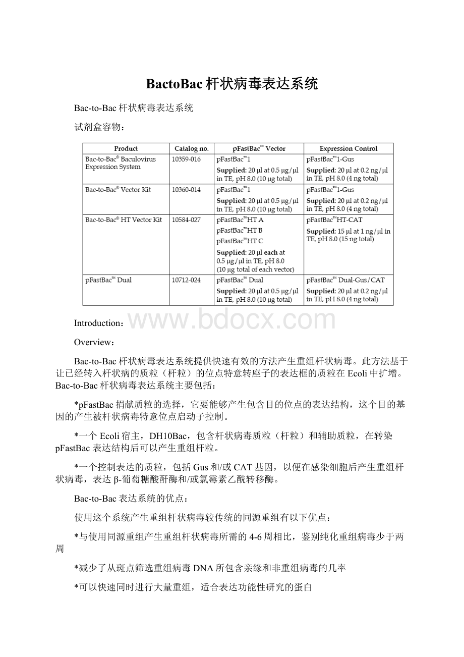 BactoBac杆状病毒表达系统Word文档下载推荐.docx_第1页